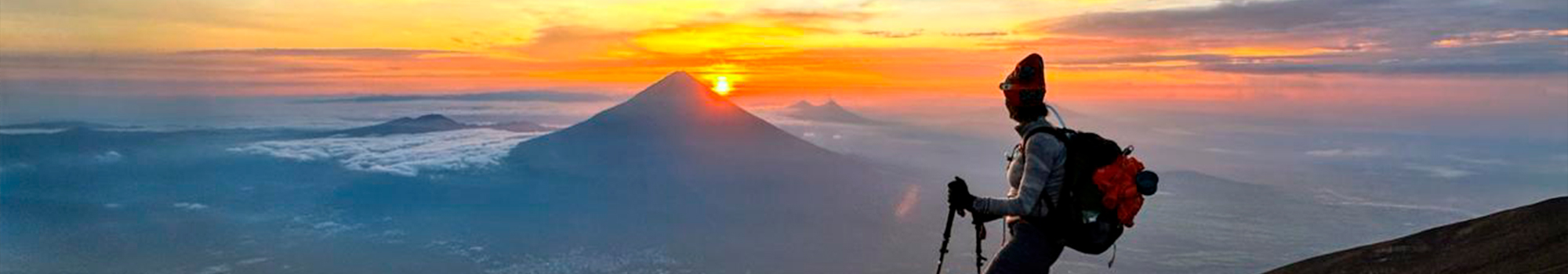 banner de cotizador